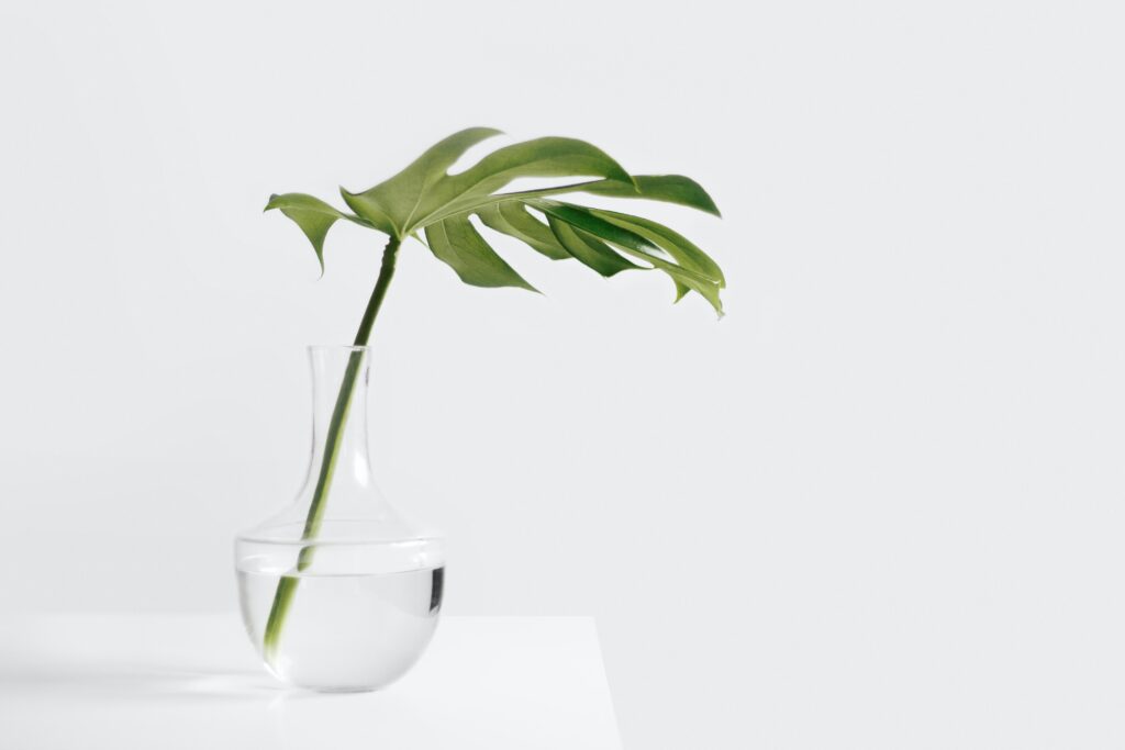 L’influence des tentures Zen sur le bien-être et la santé